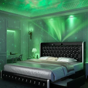 Queen Platform Bed Frame with LED Lights